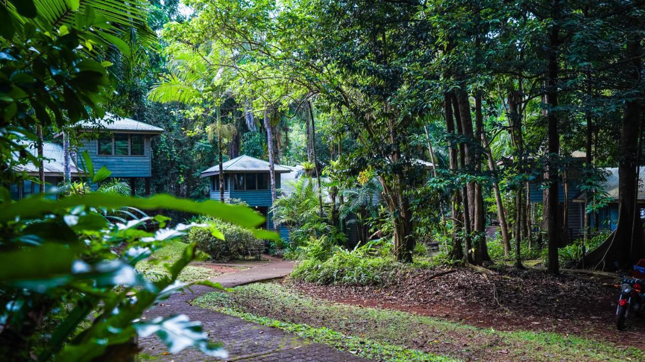 Ferntree Rainforest Lodge Cape Tribulation Exterior photo