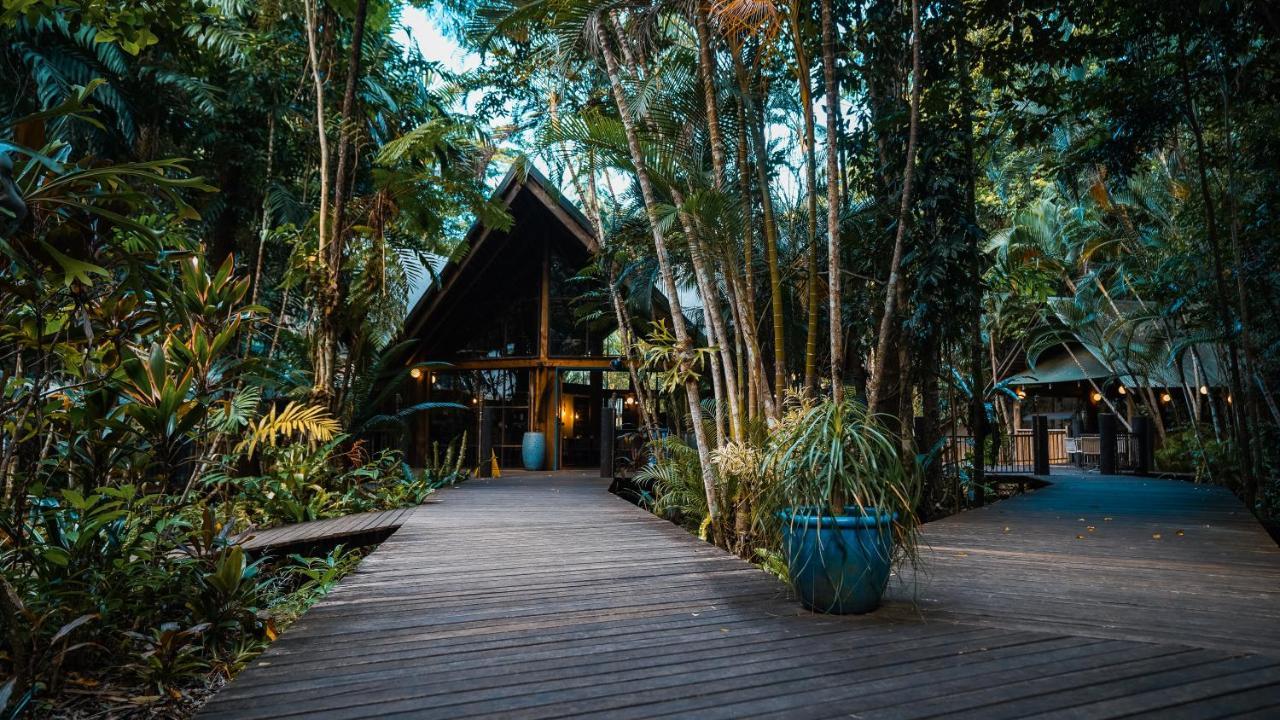 Ferntree Rainforest Lodge Cape Tribulation Exterior photo