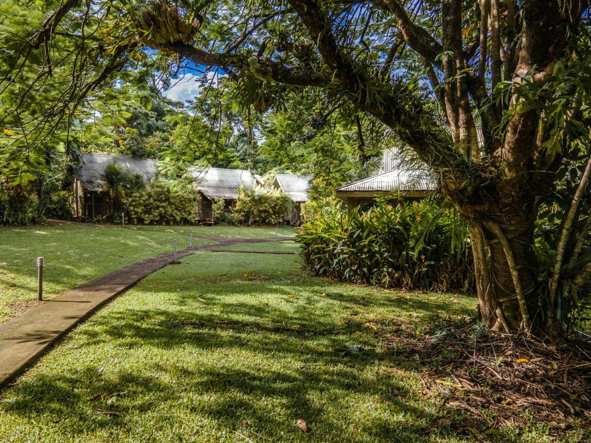 Ferntree Rainforest Lodge Cape Tribulation Exterior photo