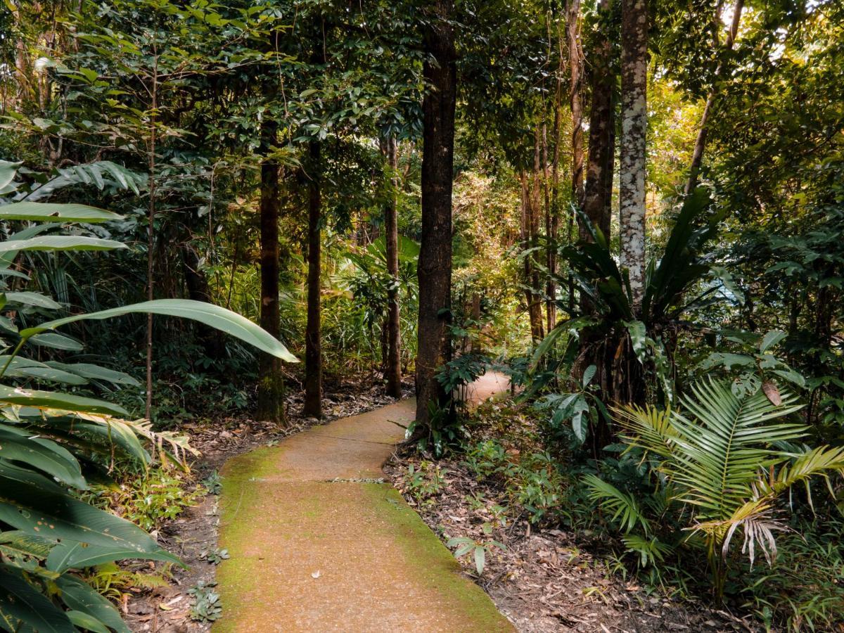 Ferntree Rainforest Lodge Cape Tribulation Exterior photo