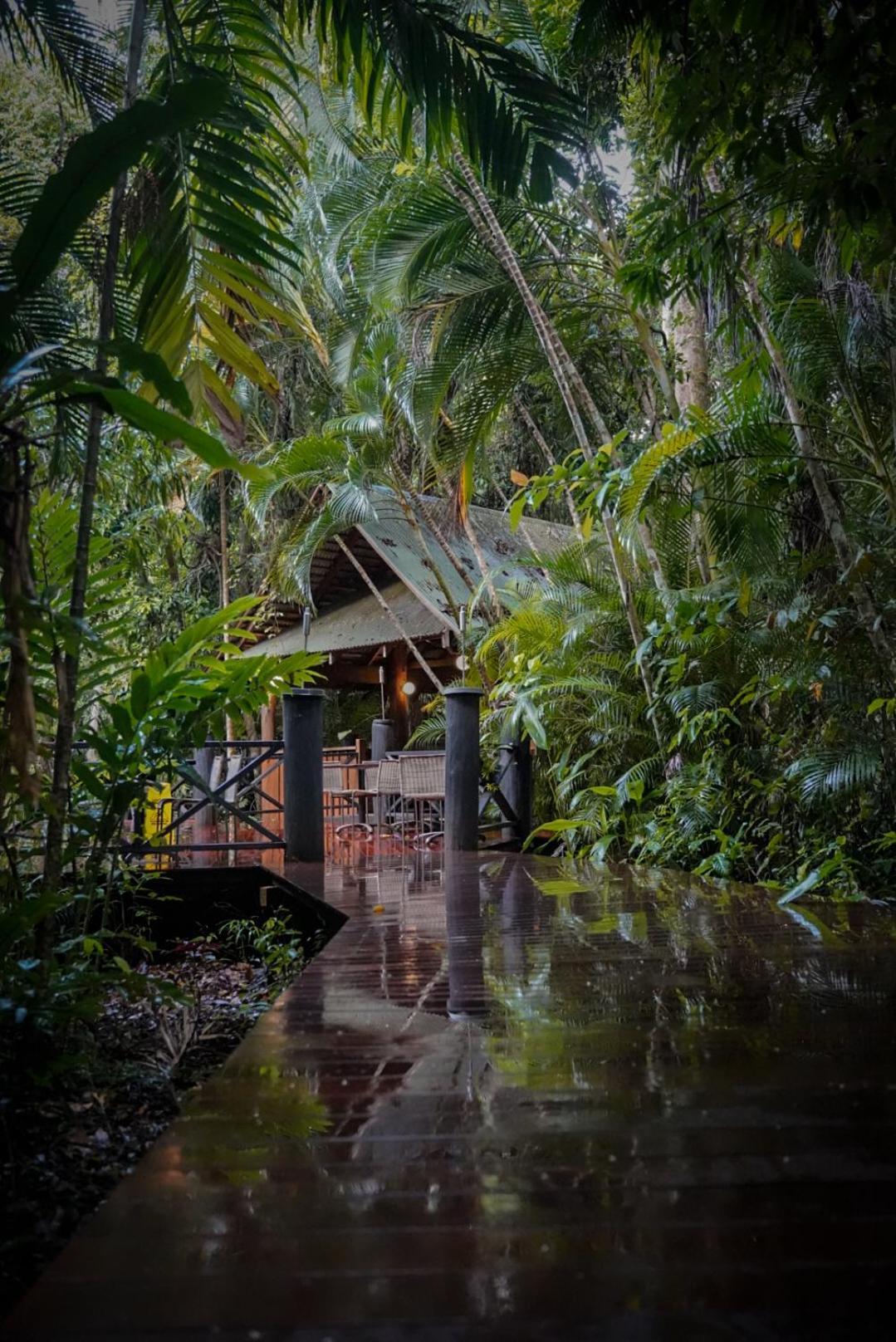 Ferntree Rainforest Lodge Cape Tribulation Exterior photo