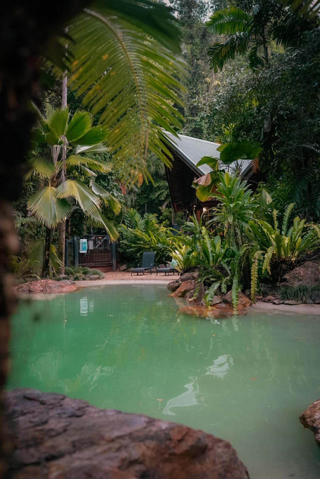 Ferntree Rainforest Lodge Cape Tribulation Exterior photo