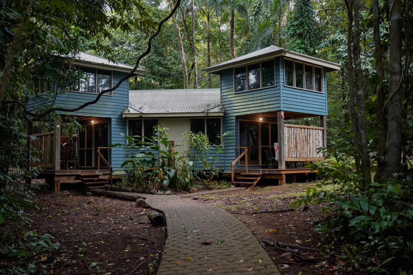 Ferntree Rainforest Lodge Cape Tribulation Exterior photo