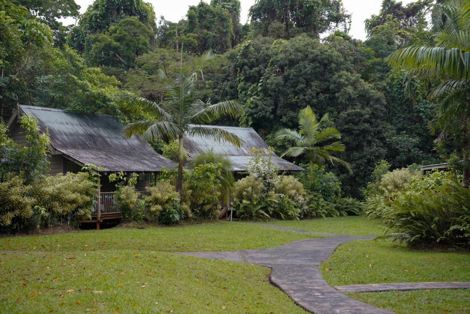 Ferntree Rainforest Lodge Cape Tribulation Exterior photo
