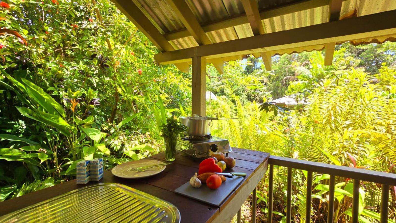 Ferntree Rainforest Lodge Cape Tribulation Exterior photo