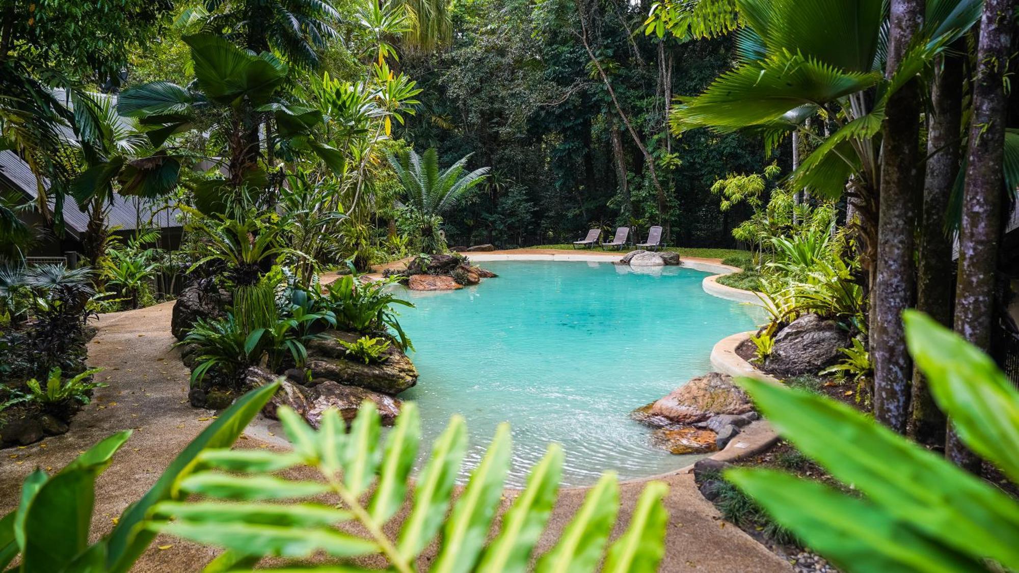 Ferntree Rainforest Lodge Cape Tribulation Exterior photo