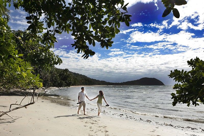 Ferntree Rainforest Lodge Cape Tribulation Exterior photo