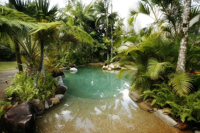 Ferntree Rainforest Lodge Cape Tribulation Facilities photo