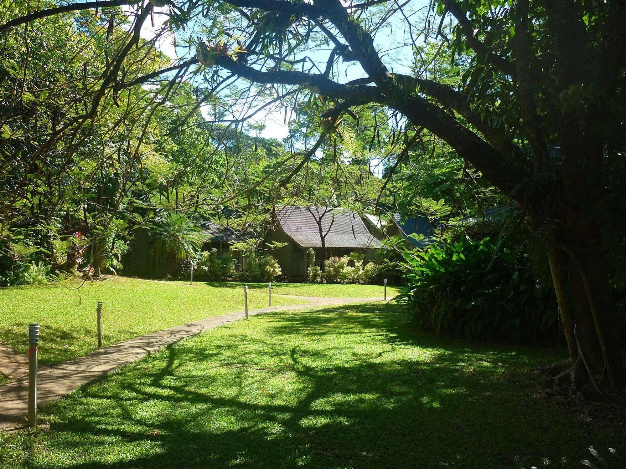 Ferntree Rainforest Lodge Cape Tribulation Exterior photo