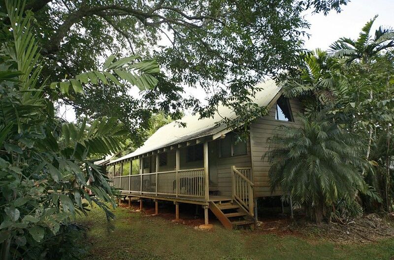 Ferntree Rainforest Lodge Cape Tribulation Exterior photo