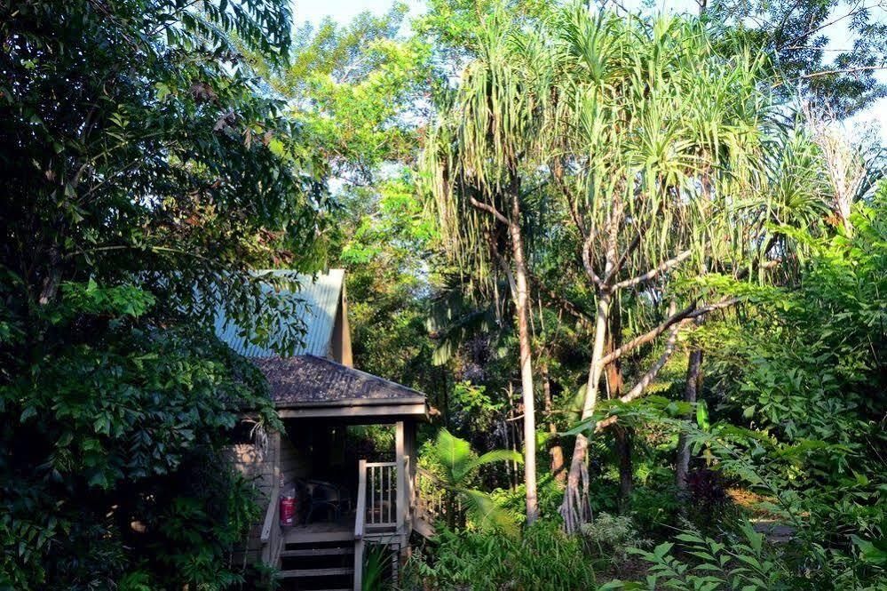 Ferntree Rainforest Lodge Cape Tribulation Exterior photo