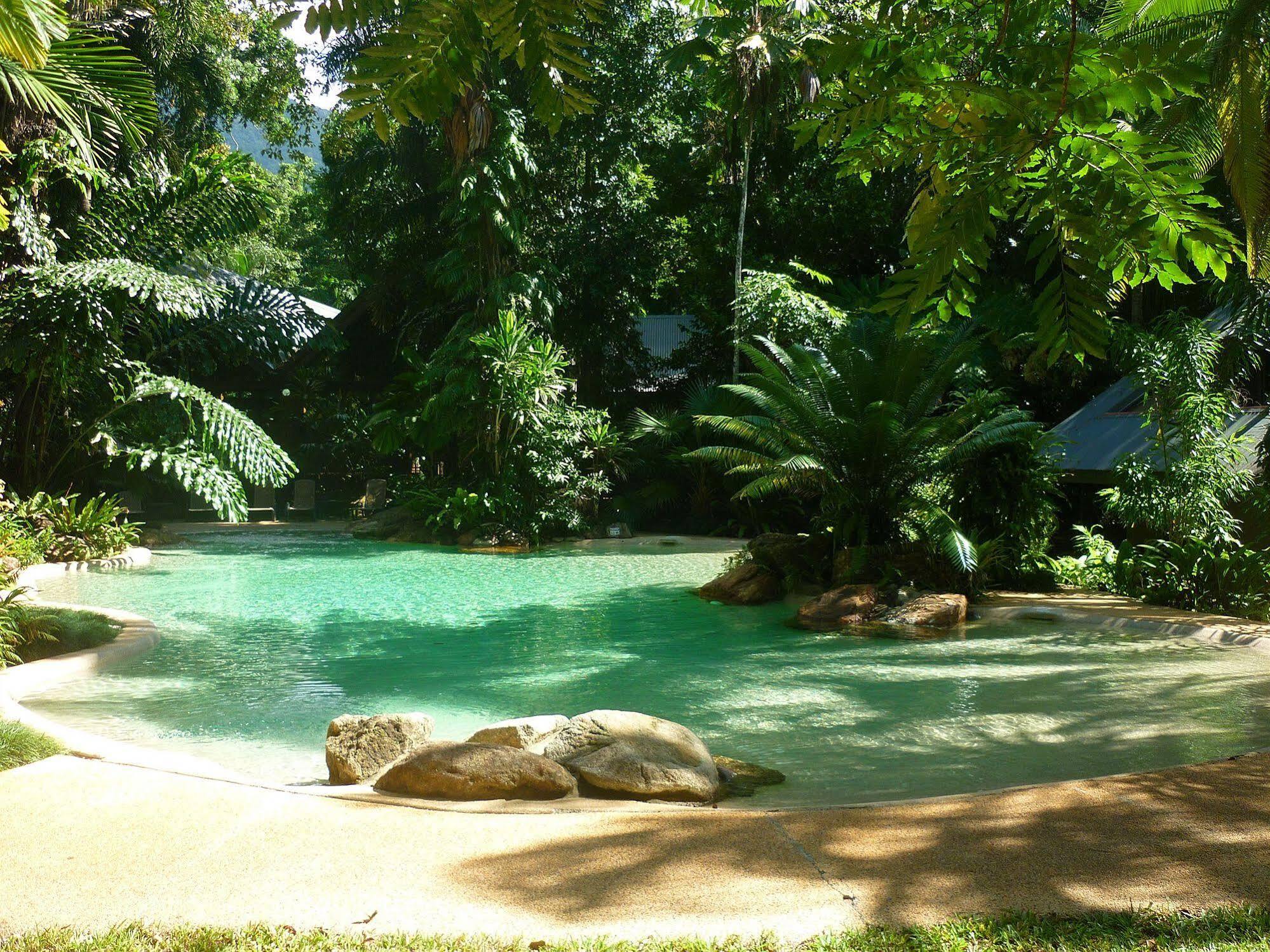 Ferntree Rainforest Lodge Cape Tribulation Exterior photo