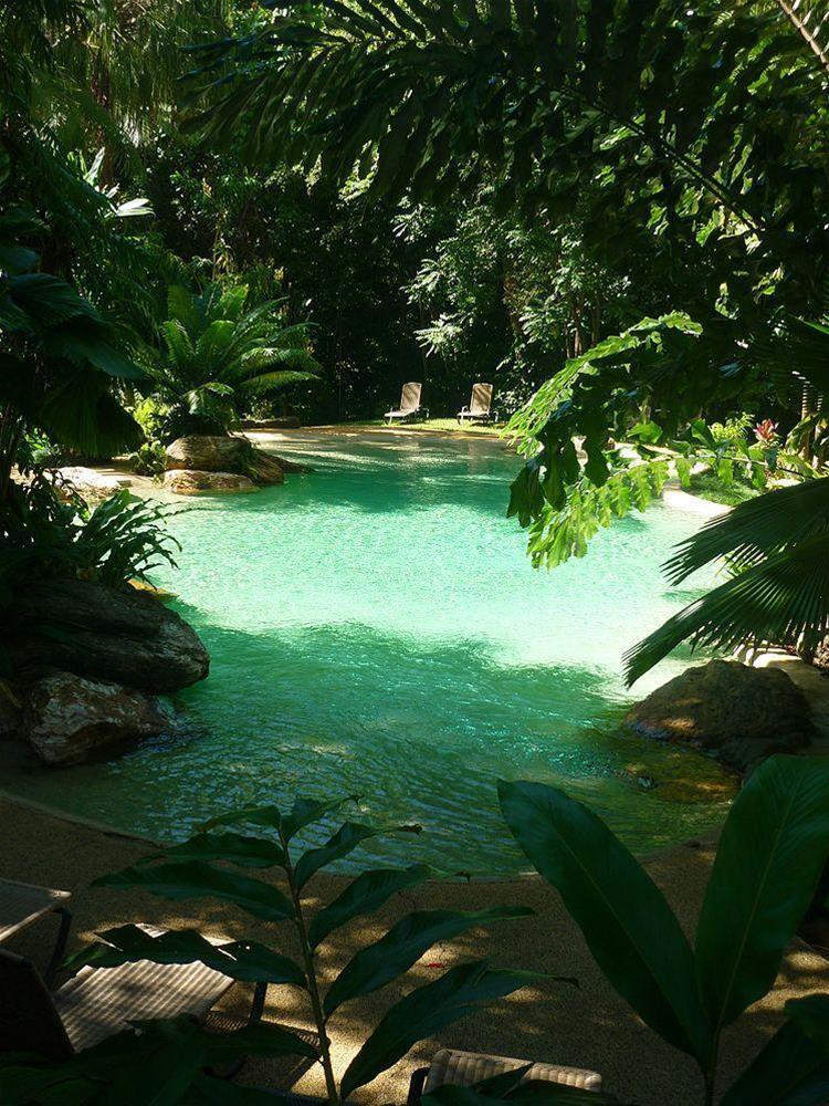 Ferntree Rainforest Lodge Cape Tribulation Exterior photo